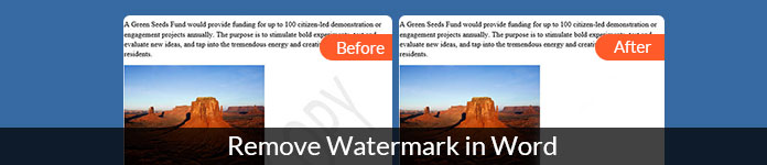 insert watermark sord for mac 2011